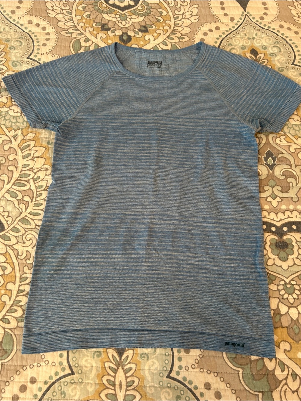 Patagonia Heathered Blue Stripe Performance Tee